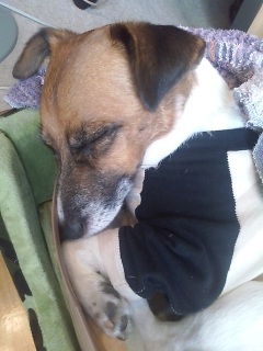 Zzzz�c