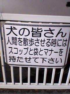 �i�C�X�I