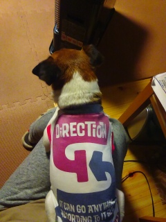�J������