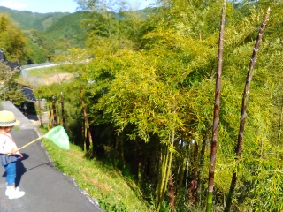 �^�P�m�R