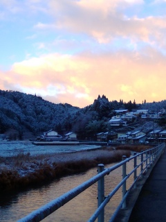 �O����